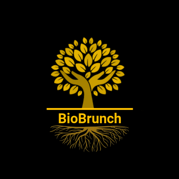 Biobrunch Melle